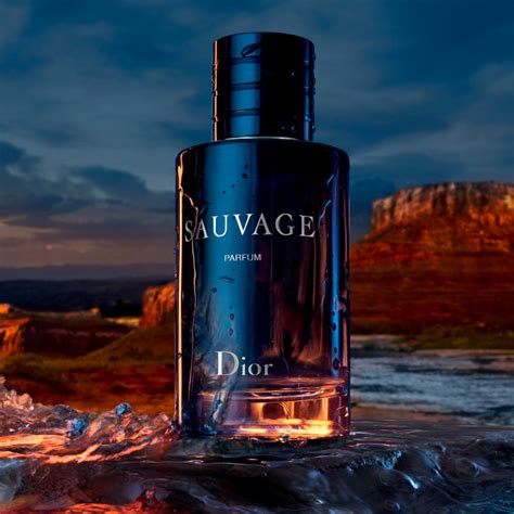 sauvage dior cyber monday|sauvage perfume Dior.